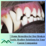 7 Home Remedies for Dog Broken Tooth: Healing Solutions for Your Canine Companion