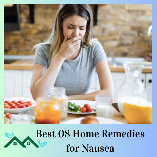 Best 08 Home Remedies for Nausea